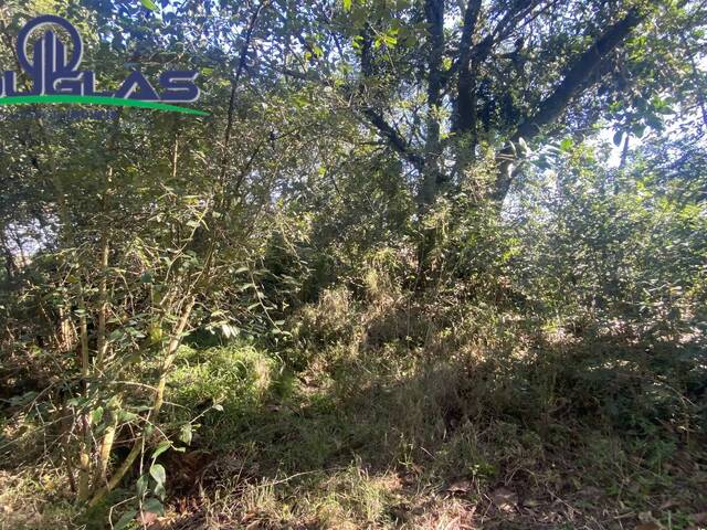 TERRENOS FORA DE CONDOMÍNIO para Venda em Viamão - 5