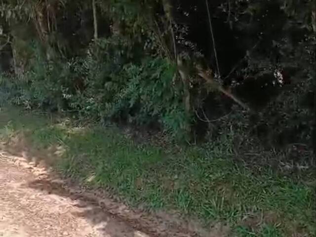 #2720 - IMÓVEIS COMERCIAIS para Venda em Viamão - RS - 2