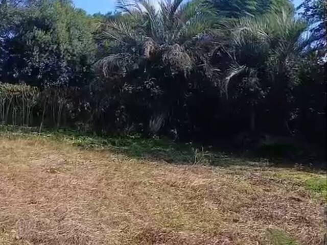  para  em  - 4