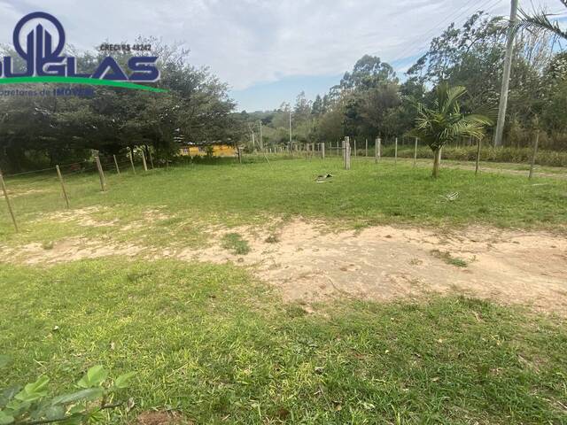 #2732 - TERRENOS FORA DE CONDOMÍNIO para Venda em Viamão - RS - 3