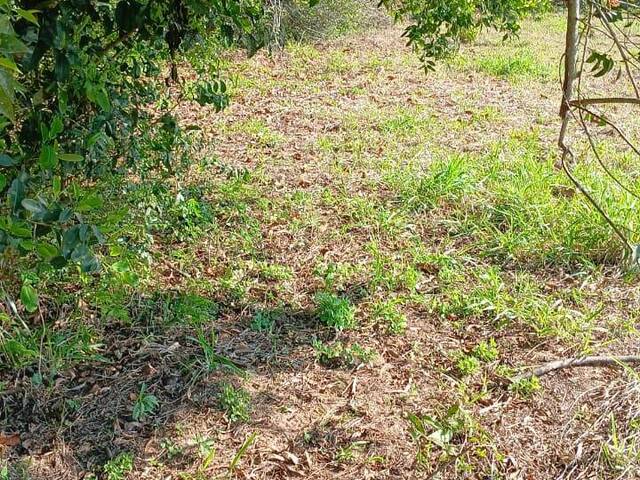 #2746 - IMÓVEIS COMERCIAIS para Venda em Viamão - RS - 3