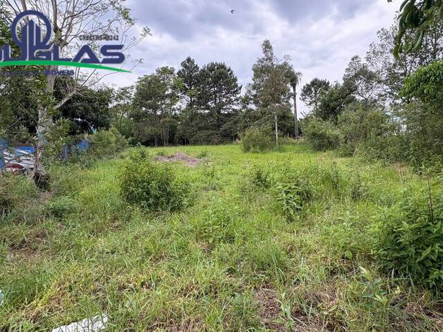 #2764 - IMÓVEIS COMERCIAIS para Venda em Viamão - RS - 3