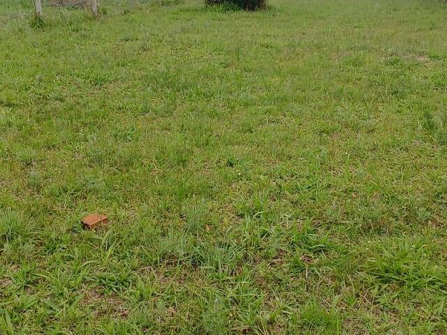 #2770 - IMÓVEIS COMERCIAIS para Venda em Viamão - RS - 2