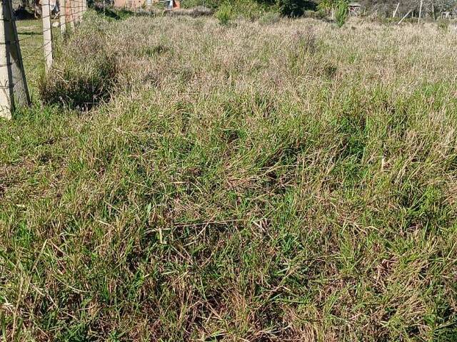 #2771 - IMÓVEIS COMERCIAIS para Venda em Viamão - RS - 2