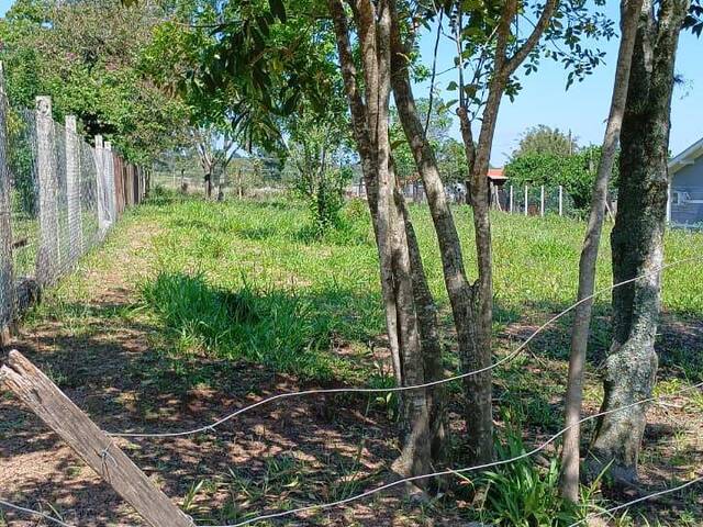 #2776 - Imóveis Até 5.000m² para Venda em Viamão - RS - 2