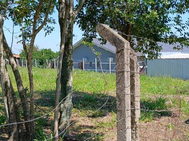 #2776 - Imóveis Até 5.000m² para Venda em Viamão - RS - 3