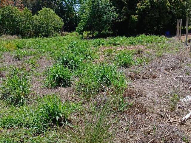 #2777 - IMÓVEIS COMERCIAIS para Venda em Viamão - RS - 3