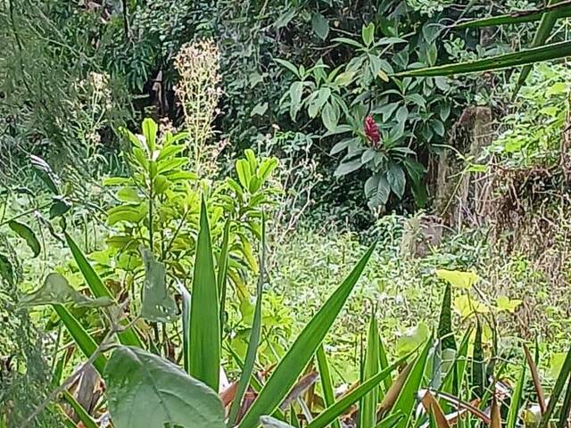 #2778 - TERRENOS EM CONDOMÍNIO FECHADO para Venda em Viamão - RS - 2