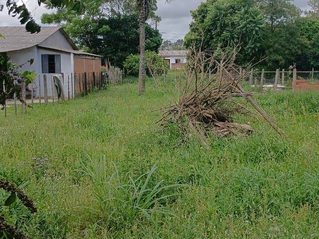 #2779 - TERRENOS FORA DE CONDOMÍNIO para Venda em Viamão - RS - 3