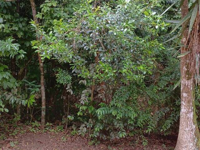 #2780 - TERRENOS EM CONDOMÍNIO FECHADO para Venda em Viamão - RS - 2