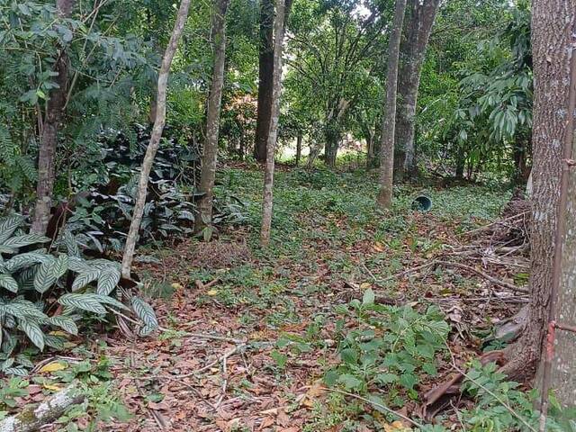 #2780 - TERRENOS EM CONDOMÍNIO FECHADO para Venda em Viamão - RS - 3