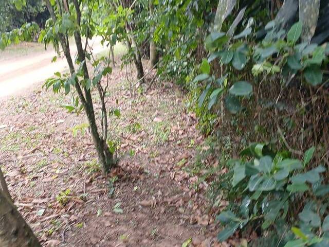 #2781 - TERRENOS EM CONDOMÍNIO FECHADO para Venda em Viamão - RS - 3