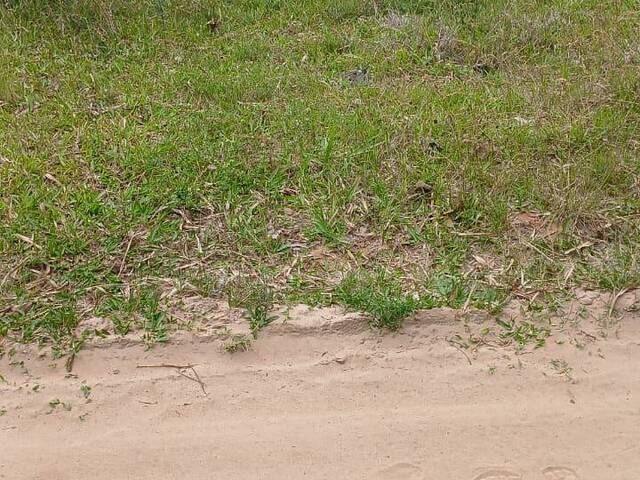 #2782 - TERRENOS FORA DE CONDOMÍNIO para Venda em Viamão - RS - 3