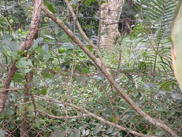 #2783 - TERRENOS EM CONDOMÍNIO FECHADO para Venda em Viamão - RS - 2