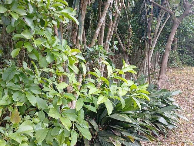 #2783 - TERRENOS EM CONDOMÍNIO FECHADO para Venda em Viamão - RS - 3