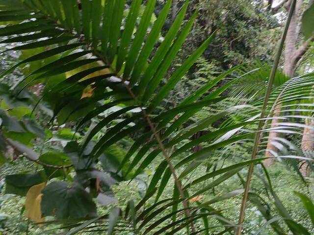 #2783 - TERRENOS EM CONDOMÍNIO FECHADO para Venda em Viamão - RS - 1