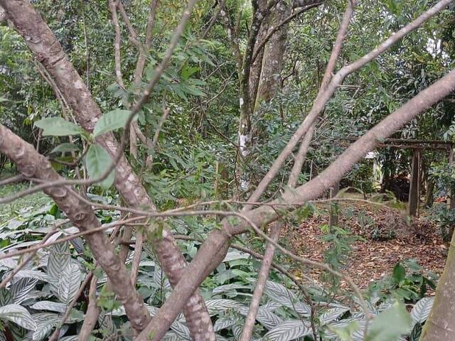 #2784 - IMÓVEIS COMERCIAIS para Venda em Viamão - RS - 2