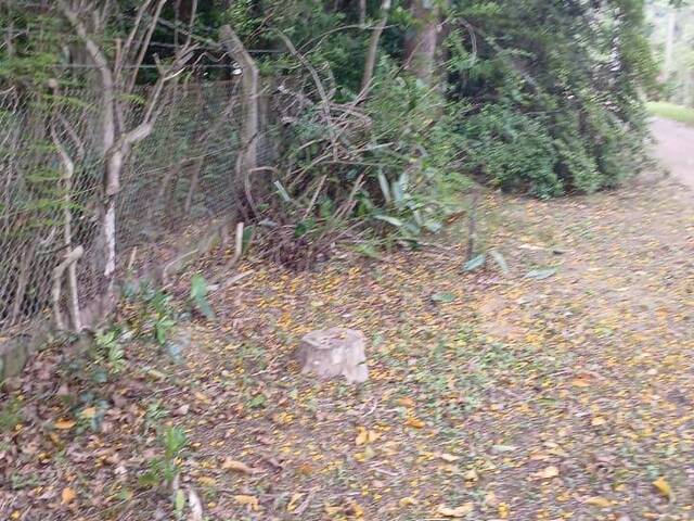 #2784 - IMÓVEIS COMERCIAIS para Venda em Viamão - RS - 3