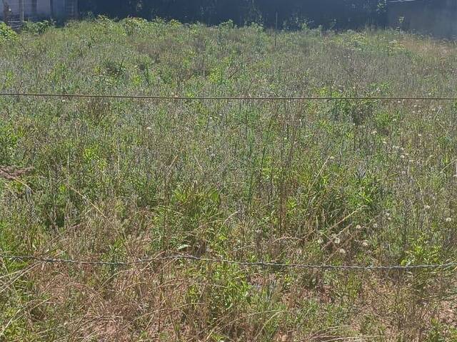 #2789 - TERRENOS EM CONDOMÍNIO FECHADO para Venda em Viamão - RS - 3