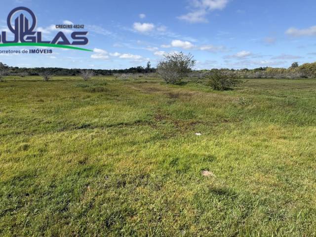 #2812 - CHÁCARAS ACIMA DE 2 HECTARES para Venda em Viamão - RS