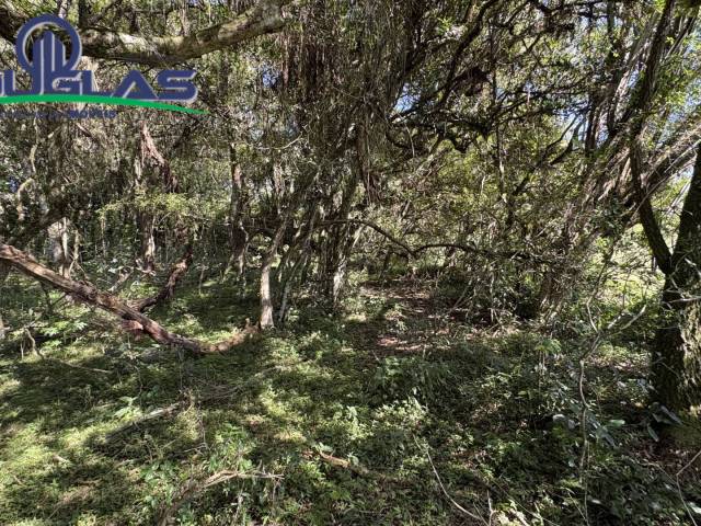 #2812 - CHÁCARAS ACIMA DE 2 HECTARES para Venda em Viamão - RS