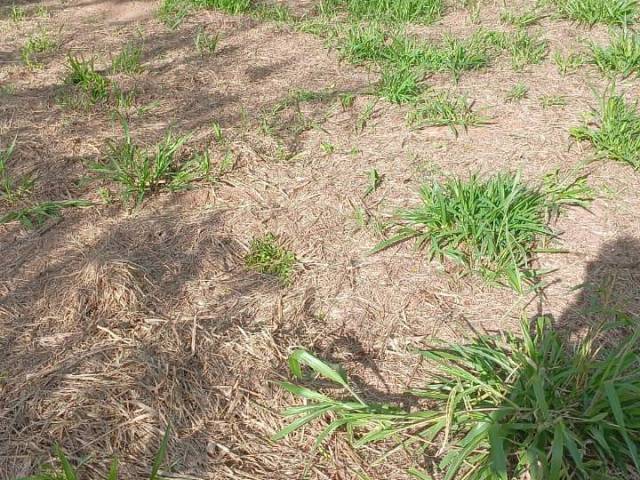 #2818 - TERRENOS FORA DE CONDOMÍNIO para Venda em Viamão - RS - 2