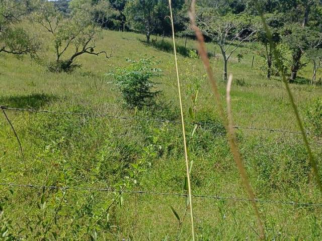 #2828 - TERRENOS FORA DE CONDOMÍNIO para Venda em Viamão - RS - 3