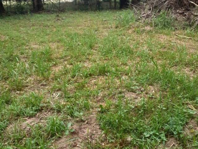 #2844 - TERRENOS FORA DE CONDOMÍNIO para Venda em Viamão - RS - 3