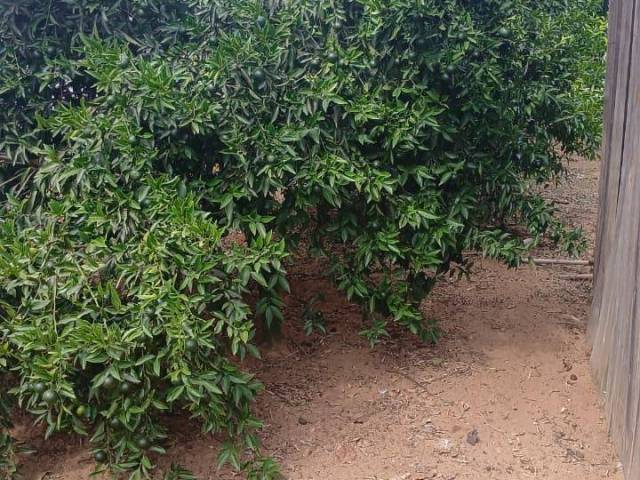 #2865 - CASAS FORA DE CONDOMÍNIO para Venda em Viamão - RS - 2