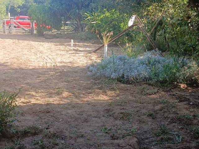 #2877 - Imóveis Até 5.000m² para Venda em Viamão - RS - 3