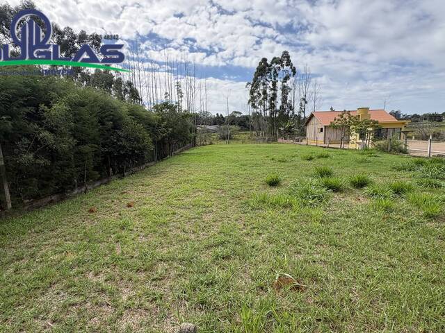 Venda em Águas Claras - Viamão