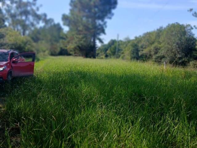 #2893 - SÍTIOS DE 5.000M² ATÉ 2 HECTARES para Venda em Viamão - RS