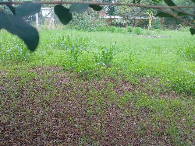 #2895 - CASAS FORA DE CONDOMÍNIO para Venda em Viamão - RS - 3