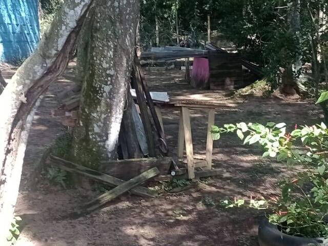 para em - 4