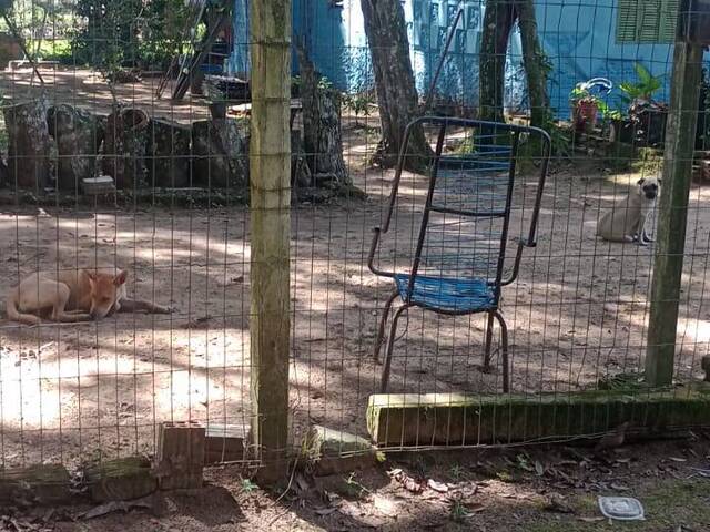 #2905 - CASAS FORA DE CONDOMÍNIO para Venda em Viamão - RS - 3