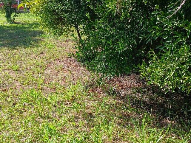 TERRENOS EM CONDOMÍNIO FECHADO para Venda em Viamão - 3