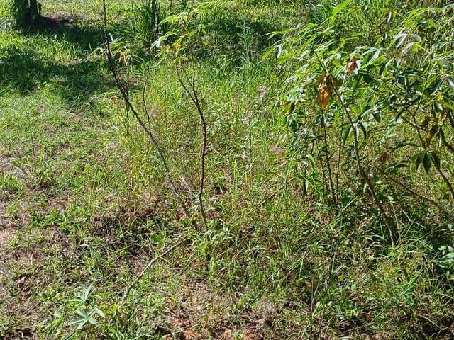 TERRENOS EM CONDOMÍNIO FECHADO para Venda em Viamão - 4