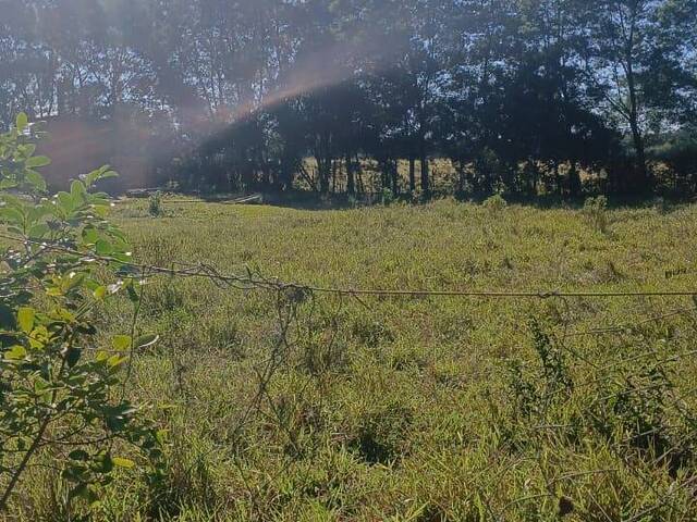 #2971 - TERRENOS FORA DE CONDOMÍNIO para Venda em Viamão - RS