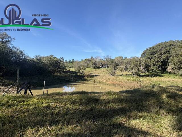 #2972 - CHÁCARAS ACIMA DE 2 HECTARES para Venda em Viamão - RS - 3