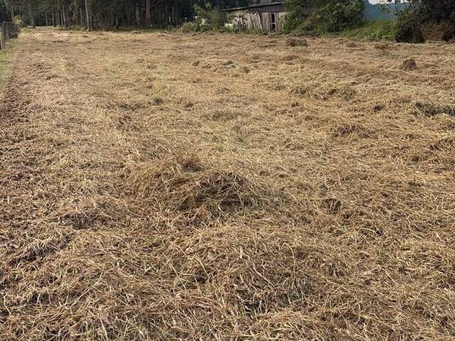 #2967 - CASAS EM CONDOMÍNIO FECHADO para Venda em Viamão - RS - 2
