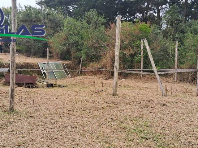 TERRENOS EM CONDOMÍNIO FECHADO para Venda em Viamão - 4