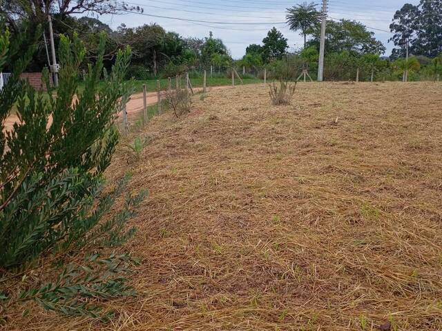 TERRENOS EM CONDOMÍNIO FECHADO para Venda em Viamão - 4