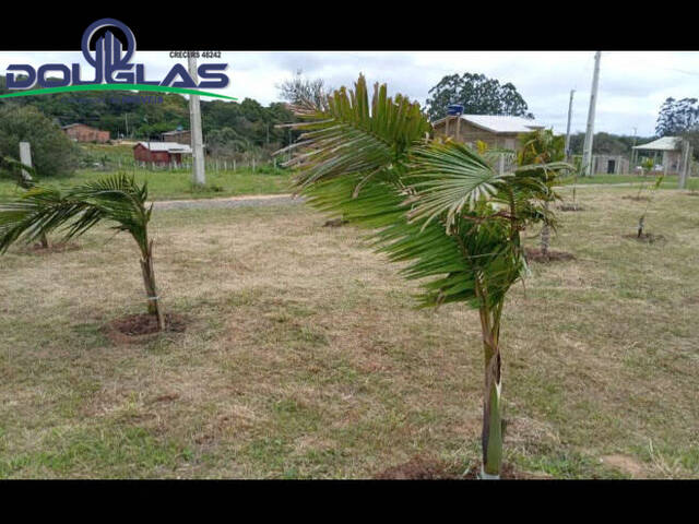 TERRENOS EM CONDOMÍNIO FECHADO para Venda em Viamão - 4