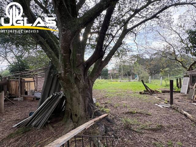 #2995 - IMÓVEIS COMERCIAIS para Venda em Viamão - RS - 3