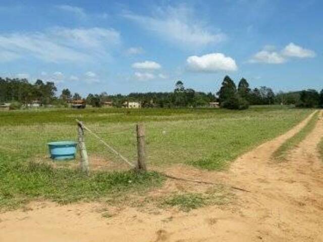 #943 - SÍTIOS DE 5.000M² ATÉ 2 HECTARES para Venda em Viamão - RS - 2