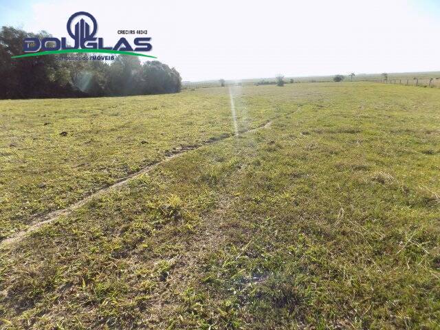 CHÁCARAS ACIMA DE 2 HECTARES para Venda em Viamão - 4