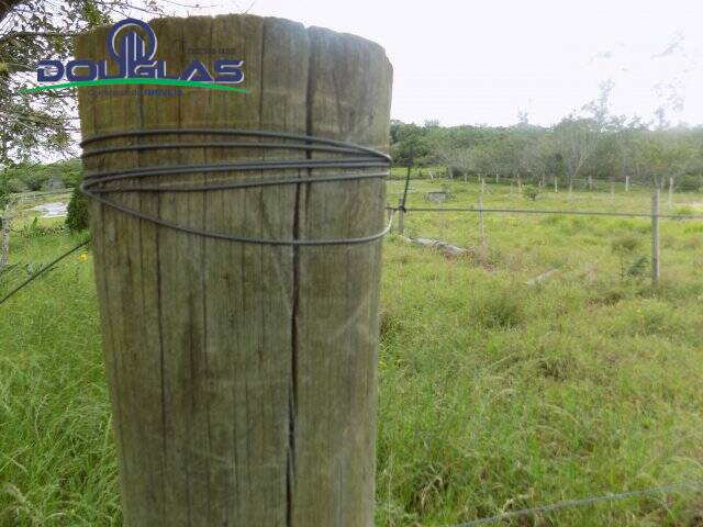 #1163 - TERRENOS FORA DE CONDOMÍNIO para Venda em Viamão - RS - 2