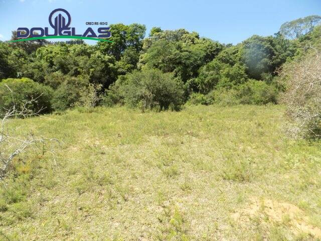 #1172 - CHÁCARAS ACIMA DE 2 HECTARES para Venda em Viamão - RS - 1