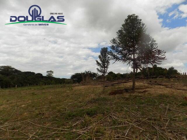 #1193 - SÍTIOS DE 5.000M² ATÉ 2 HECTARES para Venda em Viamão - RS - 3