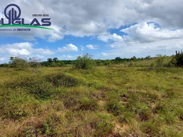 CHÁCARAS ACIMA DE 2 HECTARES para Venda em Viamão - 4